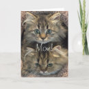 Suche nach persische karten Für sie