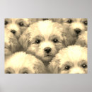 Suche nach blonde poster Jede person
