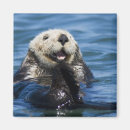 Suche nach seeotter magnete Monterey