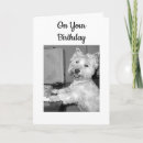 Suche nach lustige computer karten Hund