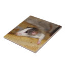 Suche nach ratte untersetzer Maus