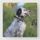 Suche nach vom hund wanduhren Jagd