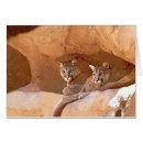 Suche nach puma postkarten Cumgar