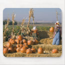 Suche nach vogelscheuche mousepads Herbst