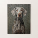 Suche nach weimaraner puzzle Welpe