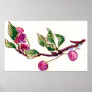 Suche nach cherry poster Aquarell