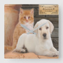 Suche nach animal humor kunst Cats
