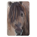 Suche nach haar magnete Jede person