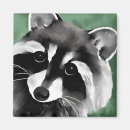 Suche nach raccoon magnete Natur