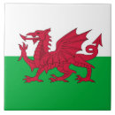 Suche nach wales fliesen Vereinigtes königreich