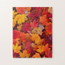 Suche nach ahornbaum puzzle Herbst
