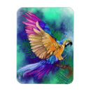 Suche nach parrot magnete Bunt