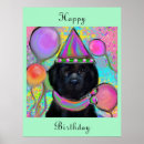 Suche nach neufundland hunde poster Hundefutter für neufundländer