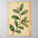 Suche nach französische botanische poster Cottagecore wandkunst