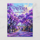 Suche nach jacaranda postkarten Südafrika
