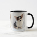 Suche nach walisercorgi tassen Welpe