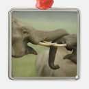 Suche nach indische elefanten ornamente Corbett