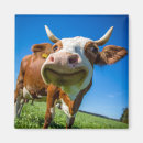 Suche nach moo kuh magnete Jede person