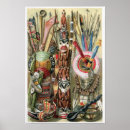 Suche nach chief poster Native