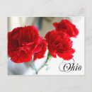 Suche nach narbe postkarten Blume
