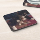 Suche nach katzenbilder untersetzer Kätzchen