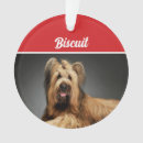 Suche nach brillen ornamente Haustiere