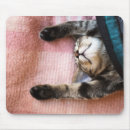 Suche nach kätzchen mousepads Babytiere