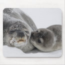 Suche nach siegel mousepads Natur