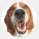 Suche nach glücklicher hund aufkleber Haustiere
