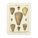 Suche nach denise magnete Knistermalerei