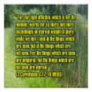 Suche nach ewiges leben poster Bibel