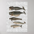 Suche nach fünf poster Tiere