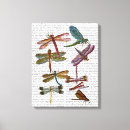 Suche nach libellen poster leinwandbilder Blumen