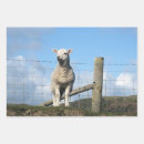 Suche nach mutterschaf geschenkpapier Lamm