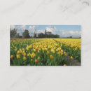 Suche nach feld blumen visitenkarten Natur
