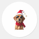 Suche nach boxerhunde aufkleber Welpe