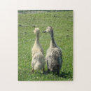 Suche nach barnyardtier Vogel
