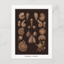 Suche nach übelkeit postkarten Vintag