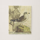 Suche nach vintager vogel puzzle Natur
