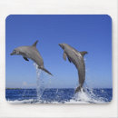 Suche nach delfin mousepads Darstellung