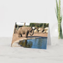 Suche nach asiatische tiere karten Natur