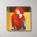 Suche nach kunst mit vögeln leinwandbilder Tierliebhaber