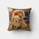 Suche nach labrador kissen Tiere