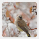 Suche nach rolf aufkleber Vogel