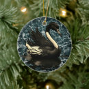 Suche nach schwarzer schwan ornamente Für alle