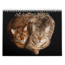 Suche nach lustige katzen kalender Fotos