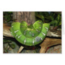 Suche nach grüne schlange postkarten Jede person