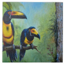 Suche nach toucan fliesen Tier