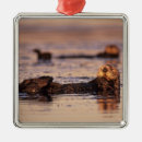 Suche nach seeotter ornamente Tier