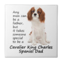 Suche nach spaniel fliesen Haustier